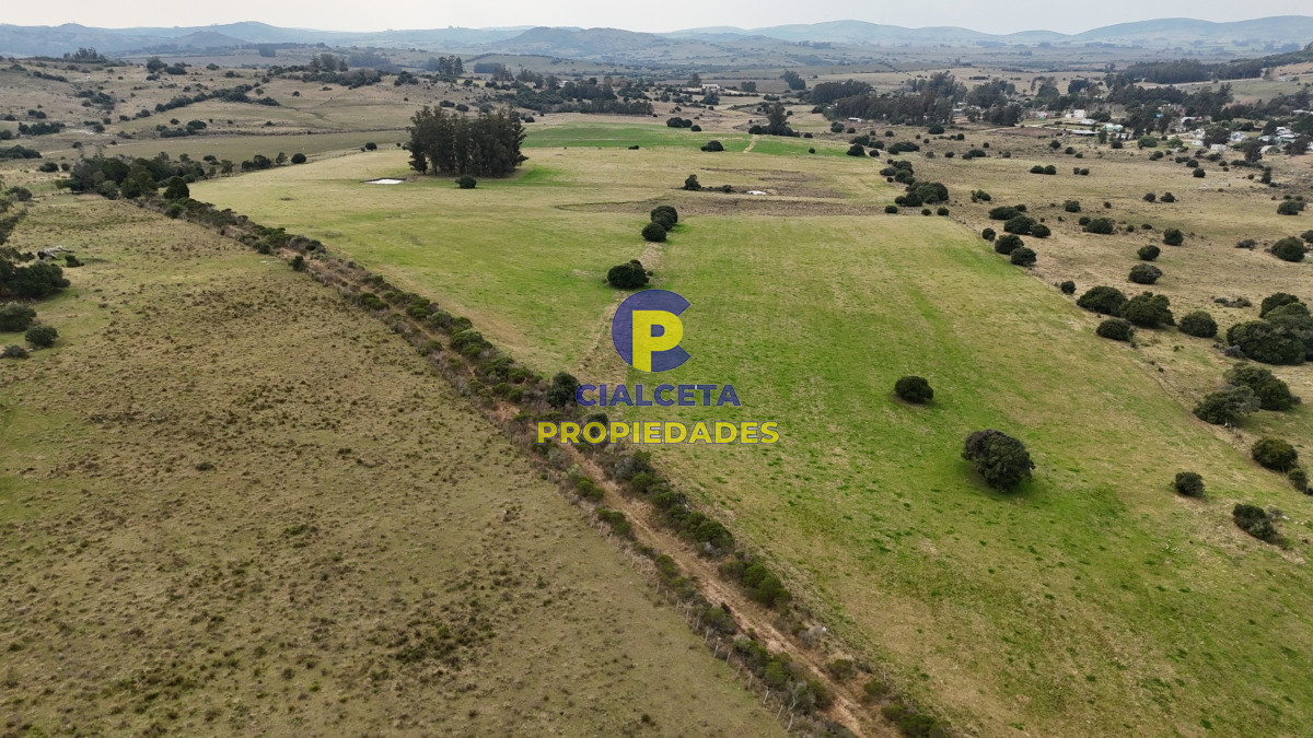 267 hectáreas en Maldonado - GoPunta - Portal Inmobiliario de Punta del Este - Maldonado