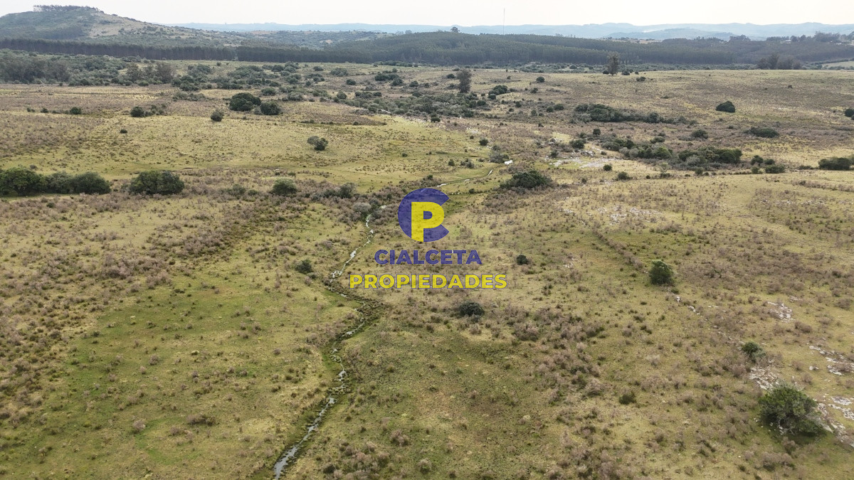 267 hectáreas en Maldonado - GoPunta - Portal Inmobiliario de Punta del Este - Maldonado