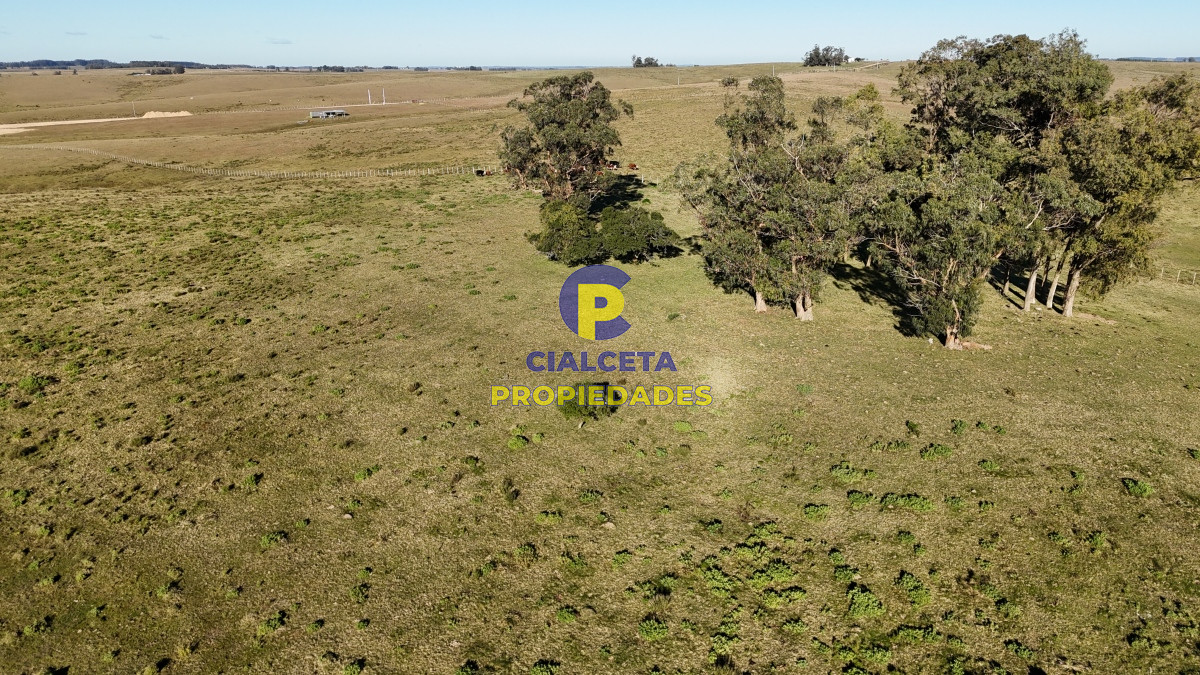 Campo Ref.469 - 19 hectáreas en Maldonado