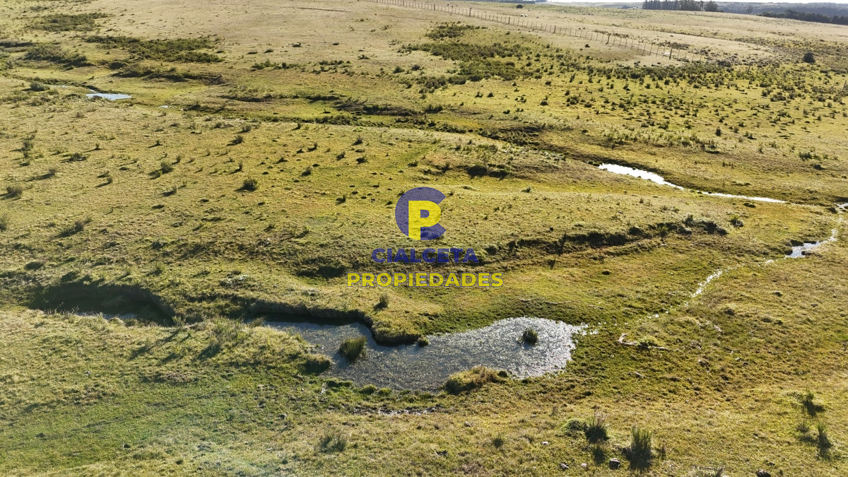 Campo Ref.469 - 19 hectáreas en Maldonado