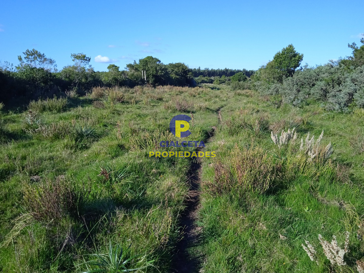 Campo Ref.96 - 155 hectáreas con casa, instalaciones
