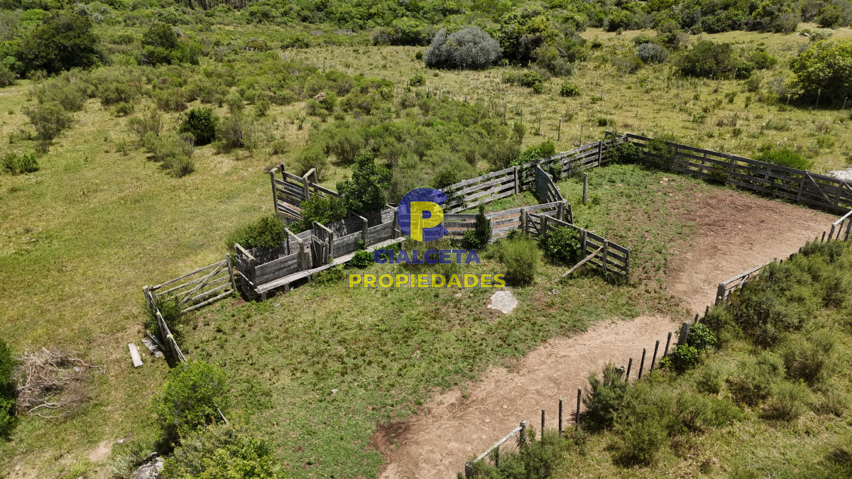 77 hectáreas en Maldonado, con casa - GoPunta - Portal Inmobiliario de Punta del Este - Maldonado