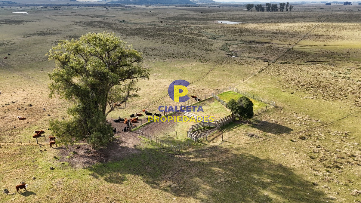 273 hectáreas en Maldonado - GoPunta - Portal Inmobiliario de Punta del Este - Maldonado