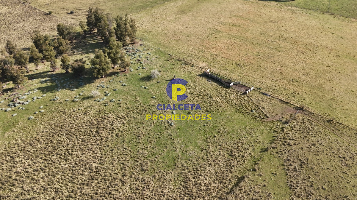 Campo Ref.497 - 40 hectáreas en Lavalleja a 10 km de Minas