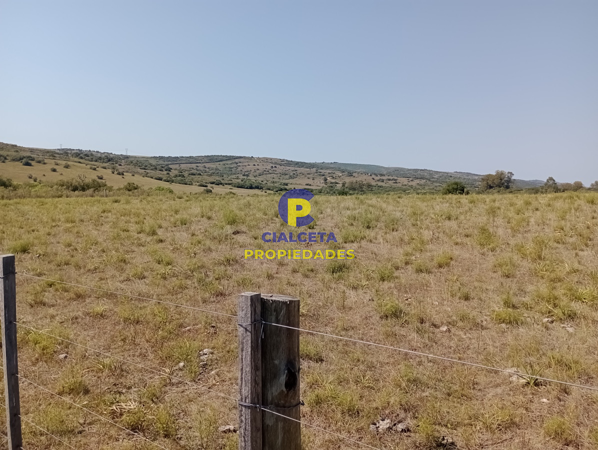 86 hectáreas en Maldonado con linda vista - GoPunta - Portal Inmobiliario de Punta del Este - Maldonado