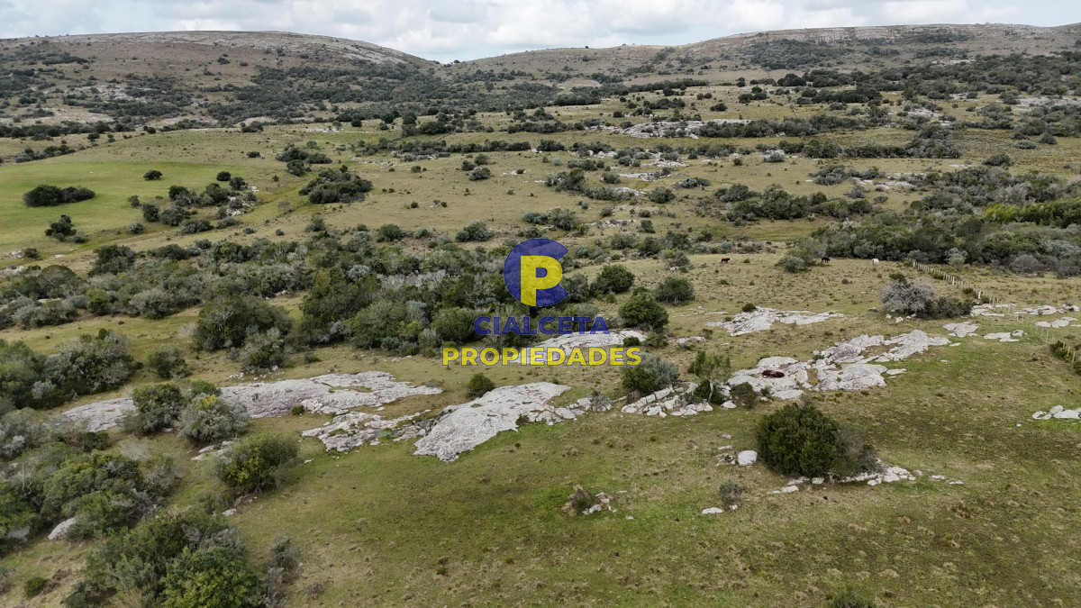 26 hectáreas y media con cañada - GoPunta - Portal Inmobiliario de Punta del Este - Maldonado