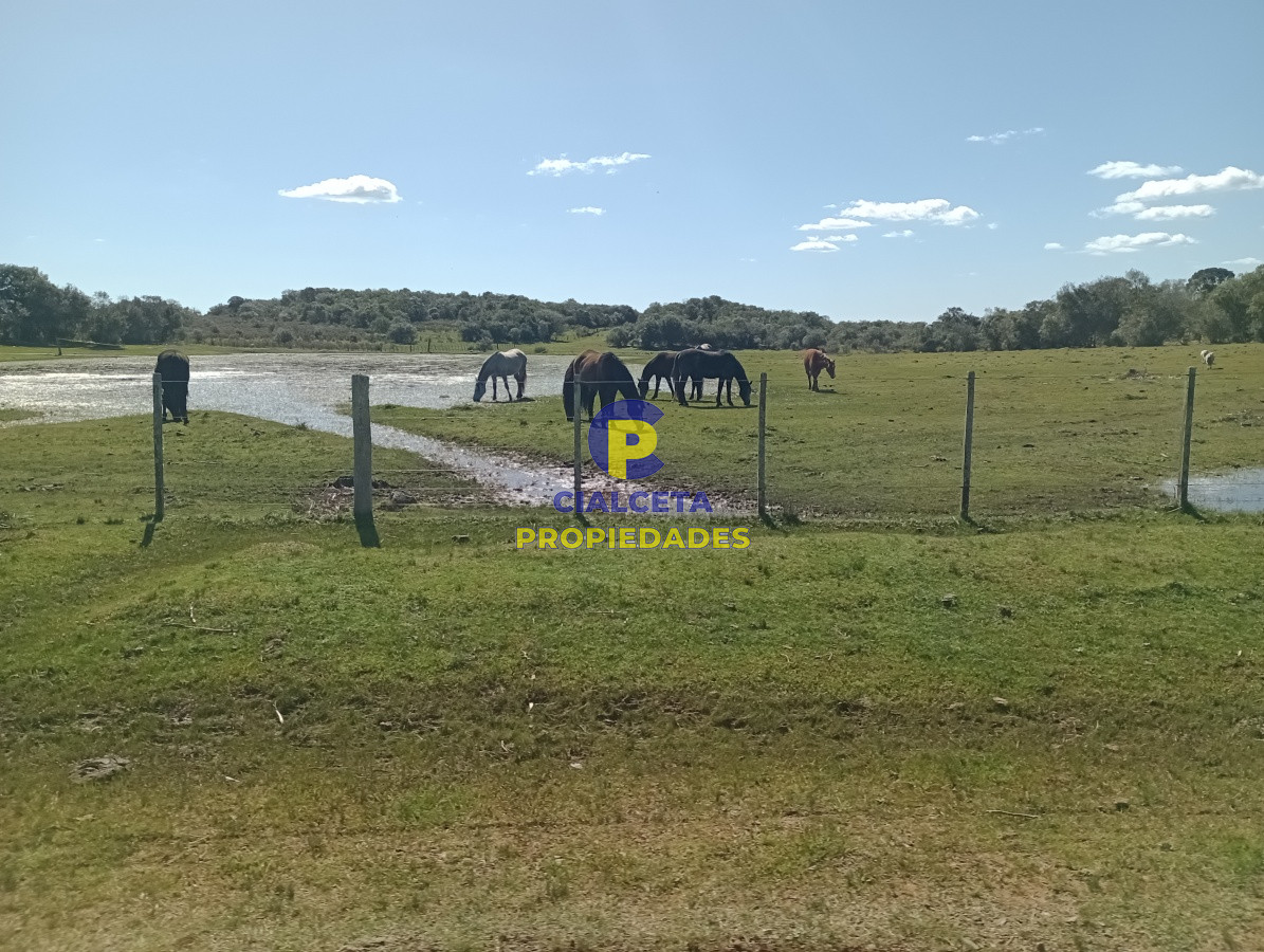 811 hectáreas en Treinta y Tres - GoPunta - Portal Inmobiliario de Punta del Este - Maldonado