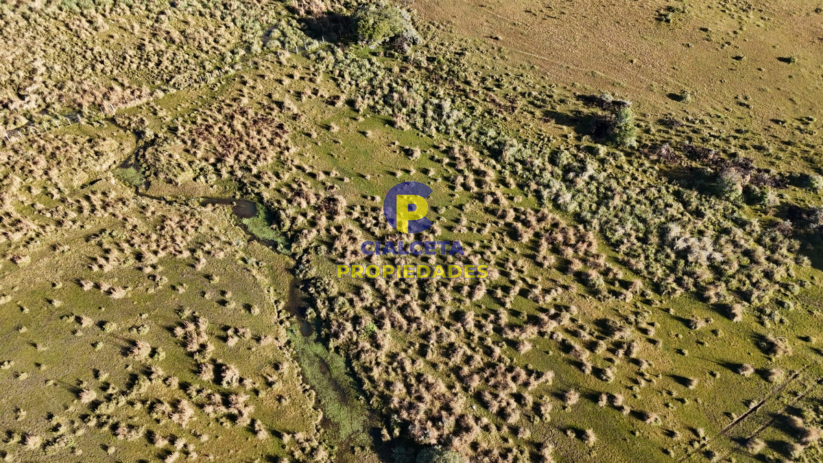 Campo Ref.469 - 19 hectáreas en Maldonado