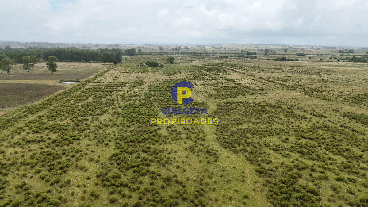 23 hectáreas y media con arroyo en el fondo - GoPunta - Portal Inmobiliario de Punta del Este - Maldonado