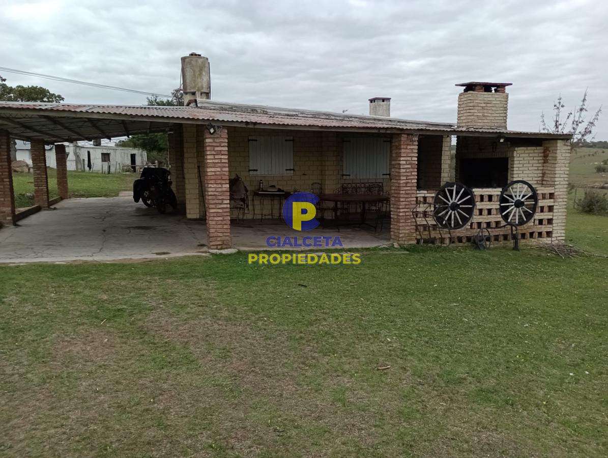 Campo Ref.217 - 664 hectáreas en Colonia