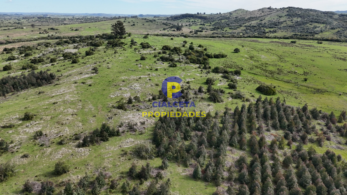 149 hectáreas con arroyo en Lavalleja - GoPunta - Portal Inmobiliario de Punta del Este - Maldonado