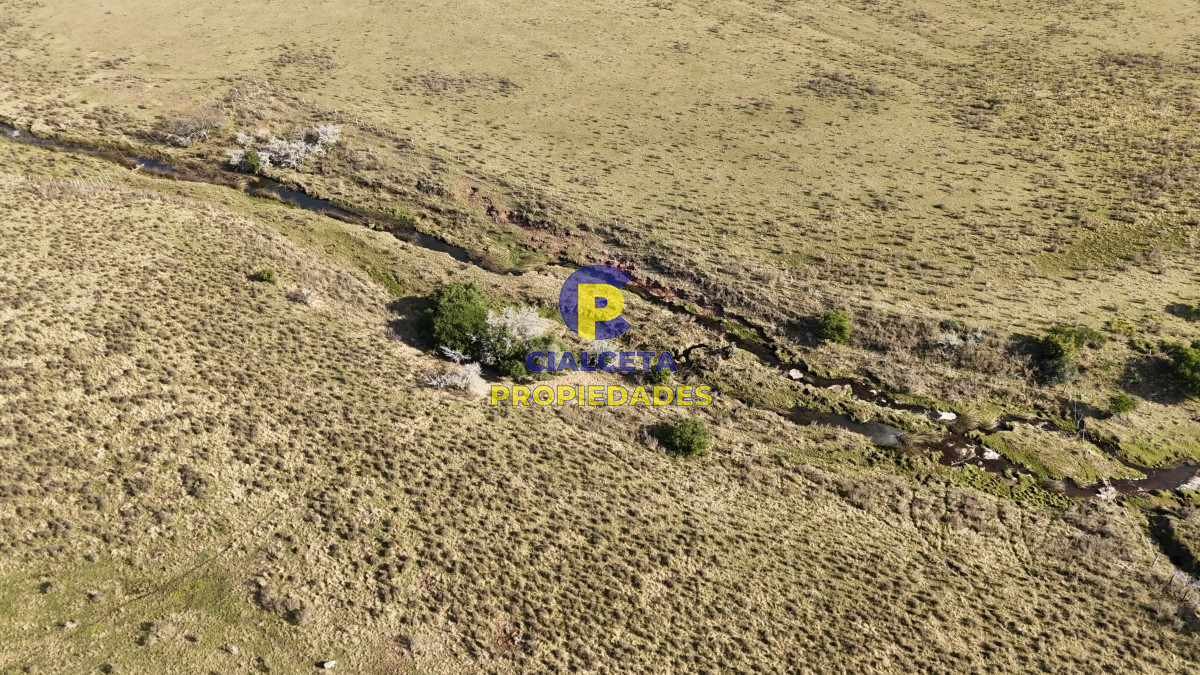Campo Ref.497 - 40 hectáreas en Lavalleja a 10 km de Minas