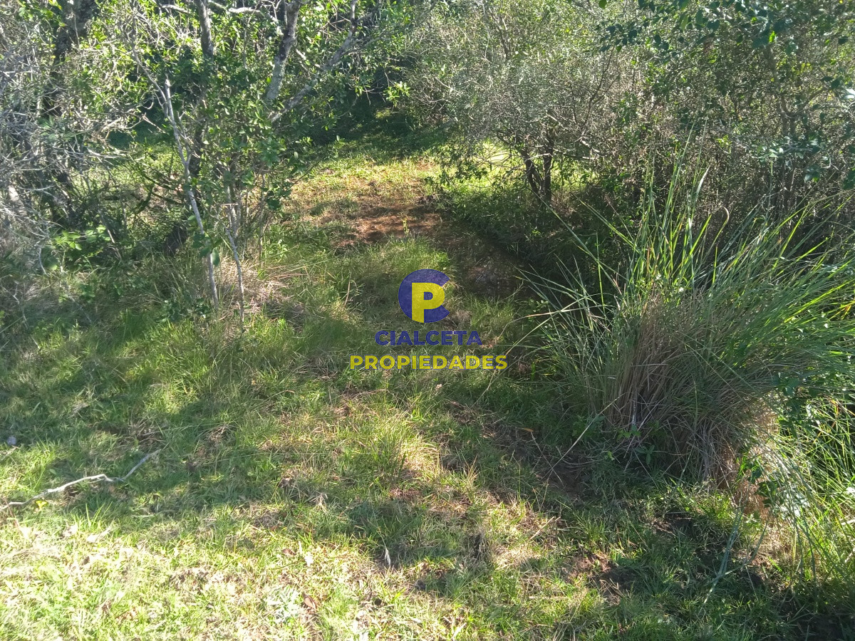 5 hectáreas, Las Palmas - GoPunta - Portal Inmobiliario de Punta del Este - Maldonado