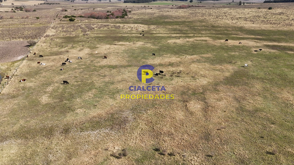 Campo Ref.500 - 92 hectáreas con cañada y buen acceso
