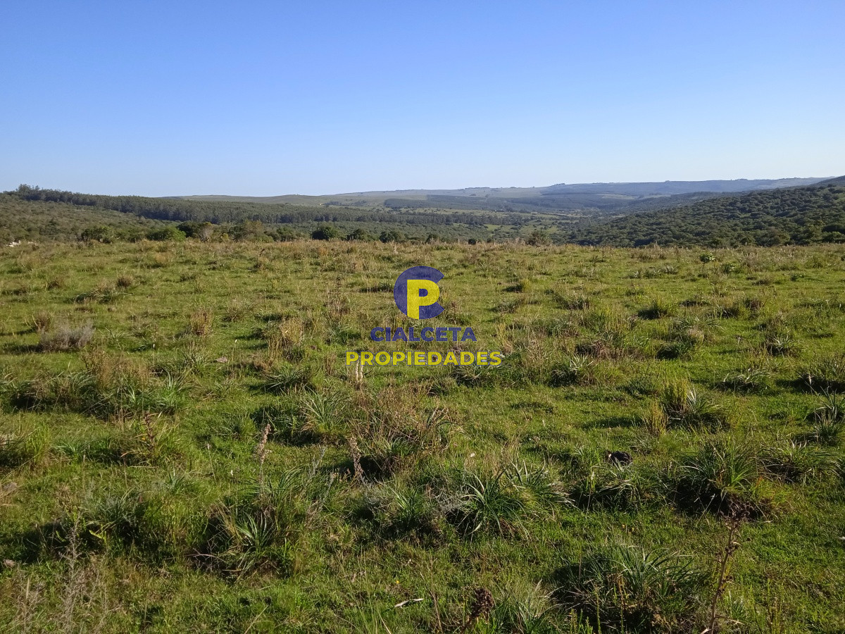 Campo Ref.96 - 155 hectáreas con casa, instalaciones