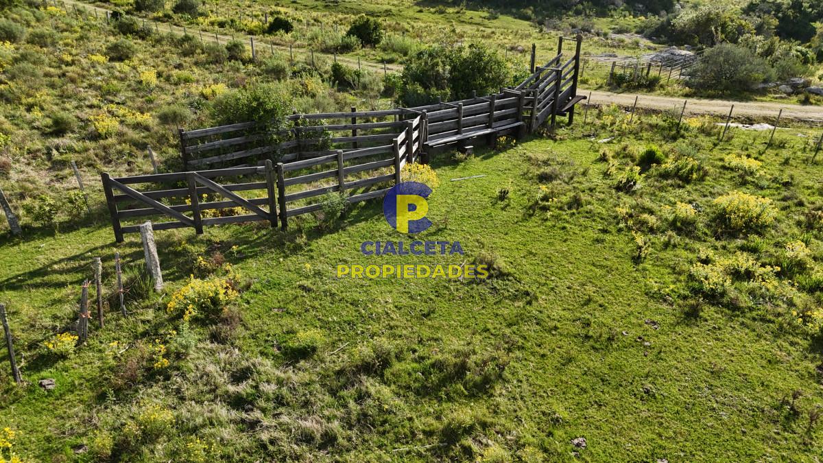 Campo Ref.548 - 30 hectáreas a 35 km de San Carlos