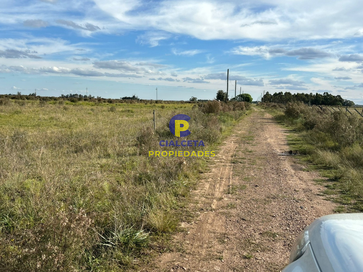 15 hectáreas de buena tierra - GoPunta - Portal Inmobiliario de Punta del Este - Maldonado