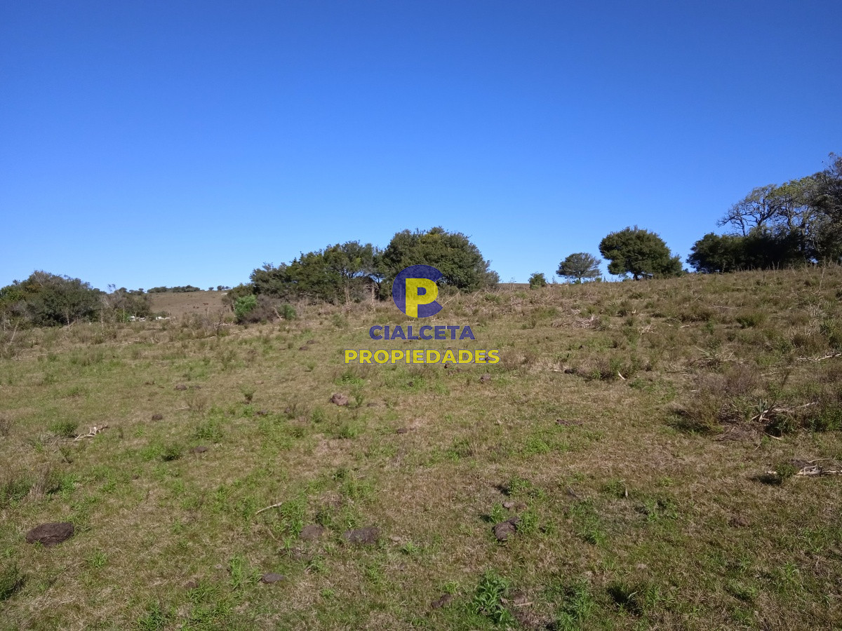 Campo Ref.131 - 29 hectáreas en Minas