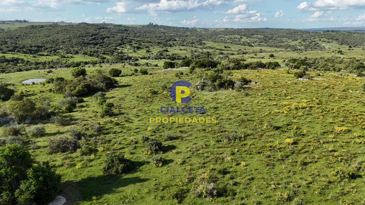 Campo Ref.548 - 30 hectáreas a 35 km de San Carlos