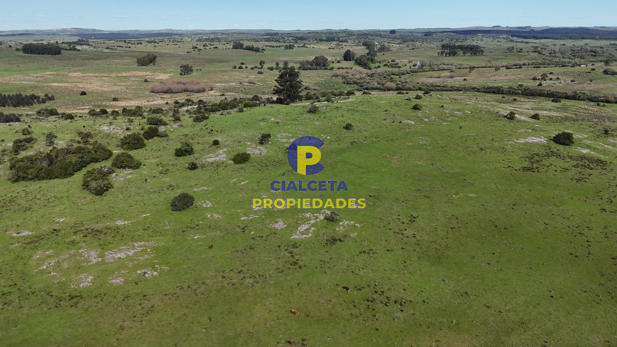 Campo Ref.537 - 149 hectáreas con arroyo en Lavalleja