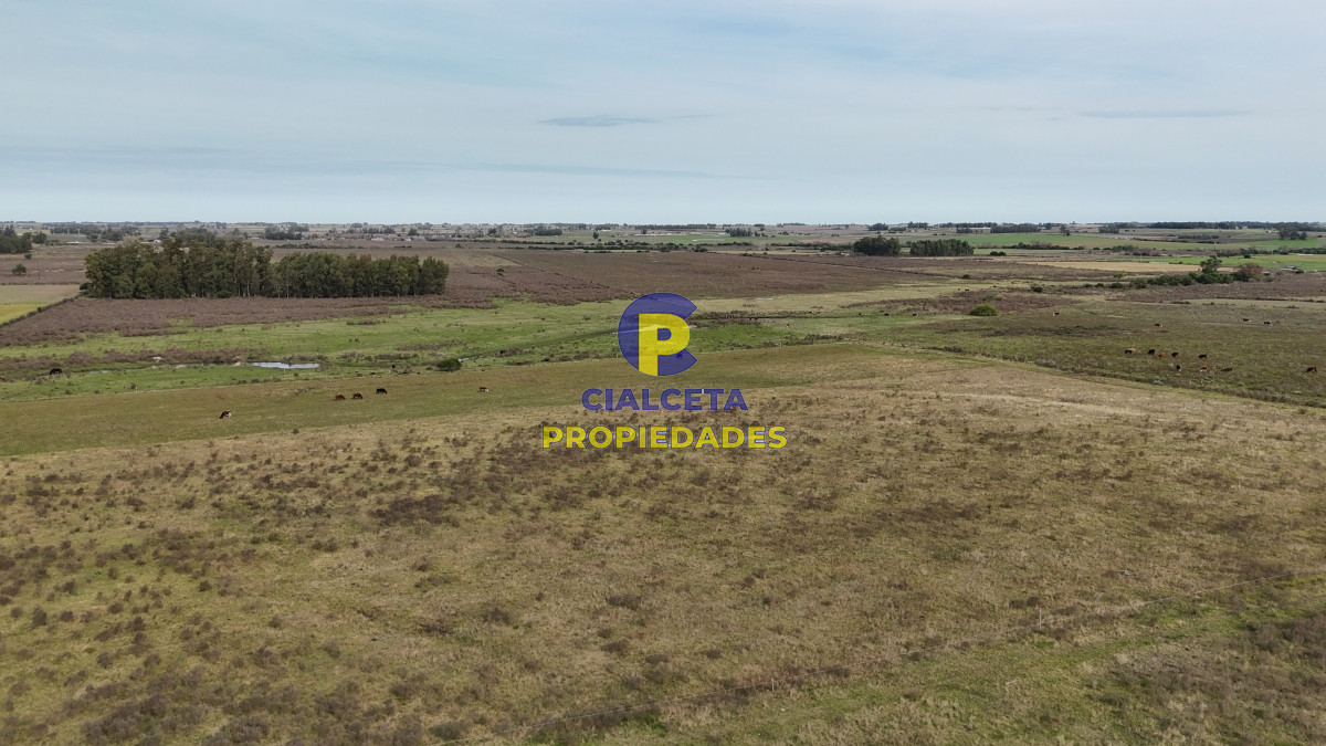 37 hectáreas sobre ruta, con excelente acceso - GoPunta - Portal Inmobiliario de Punta del Este - Maldonado