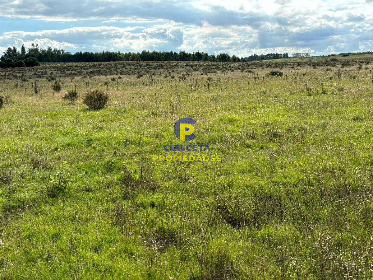 Campo Ref.415 - 92 hectáreas en Migues