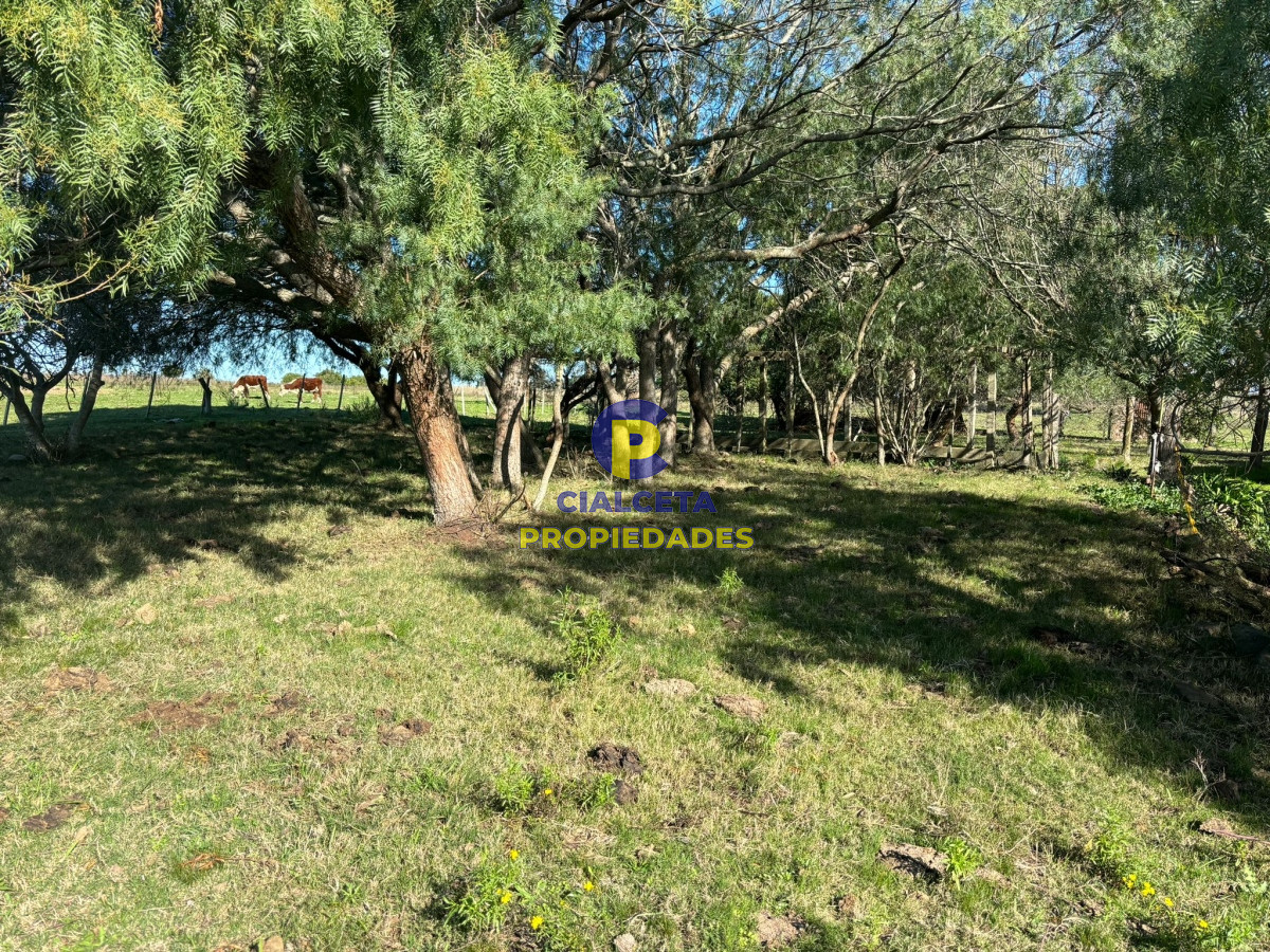 Campo Ref.515 - 15 hectáreas y media con arroyo