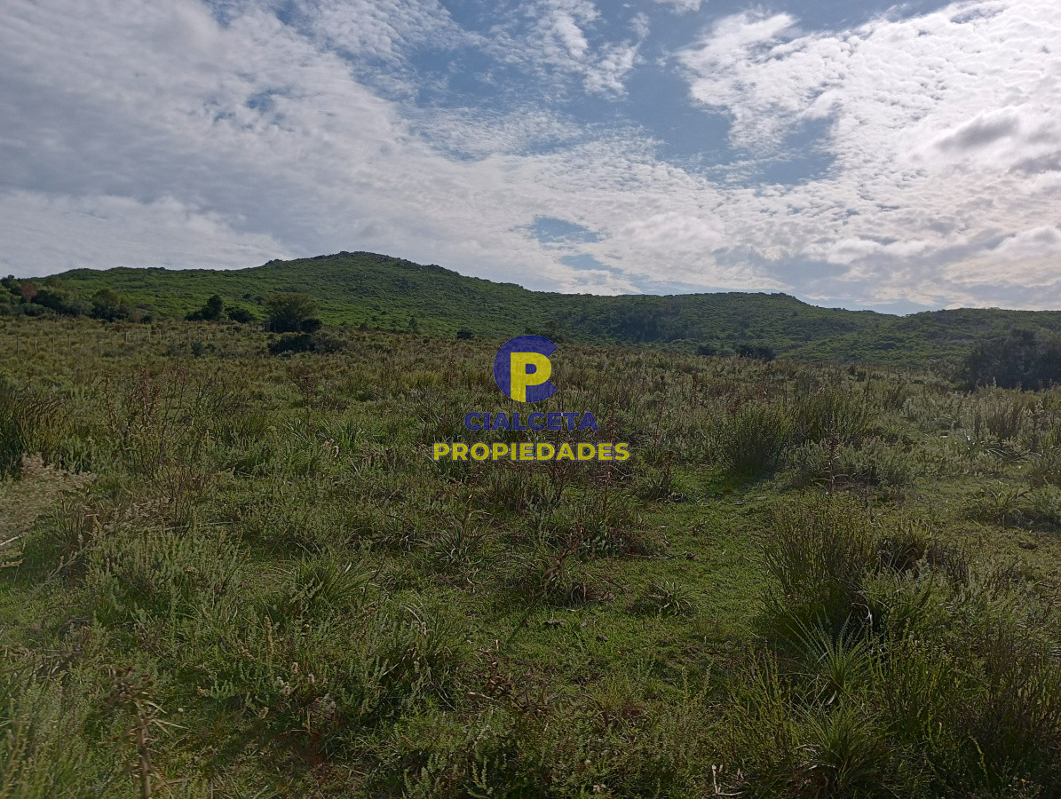 490 hectáreas en Maldonado - GoPunta - Portal Inmobiliario de Punta del Este - Maldonado