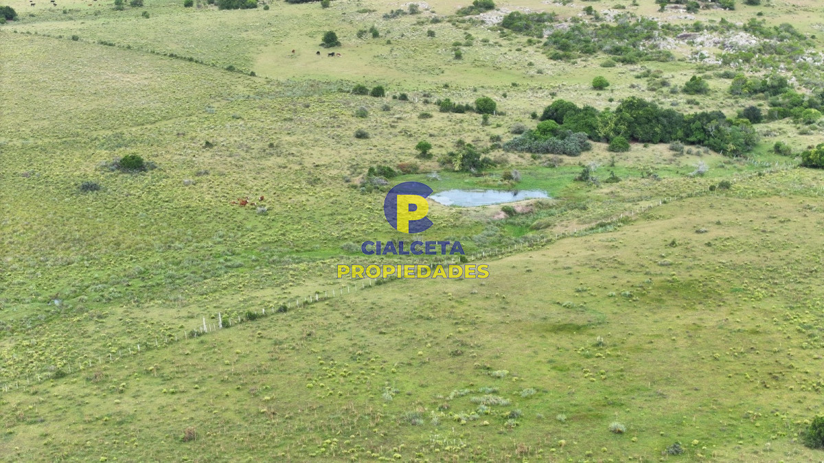 61 hectáreas en Maldonado - GoPunta - Portal Inmobiliario de Punta del Este - Maldonado