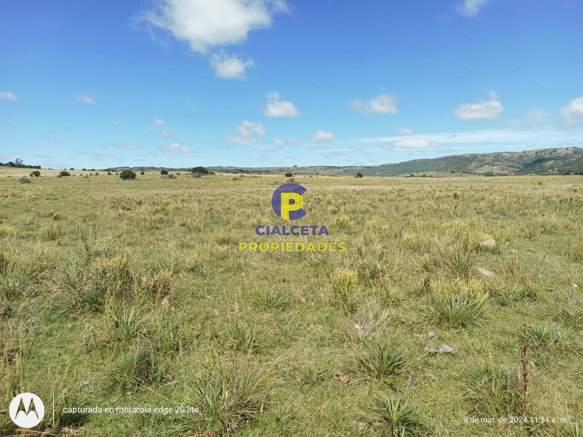 16 hectáreas en Minas a la venta - GoPunta - Portal Inmobiliario de Punta del Este - Maldonado
