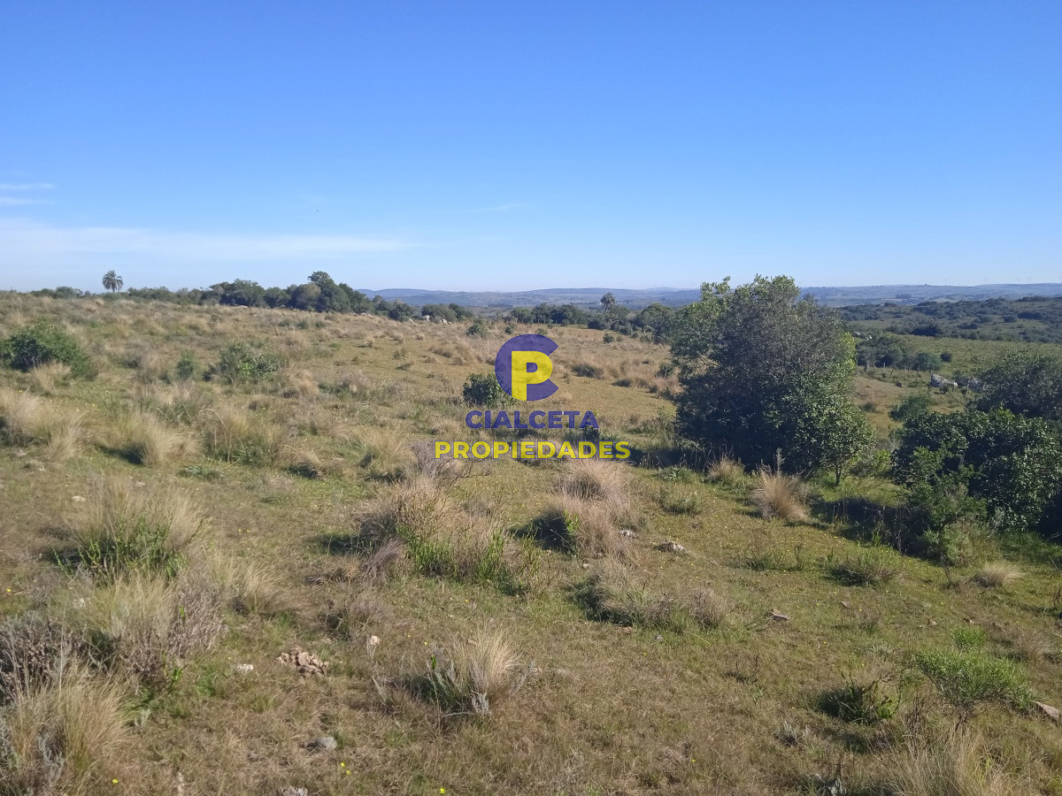 5 hectáreas, Las Palmas - GoPunta - Portal Inmobiliario de Punta del Este - Maldonado