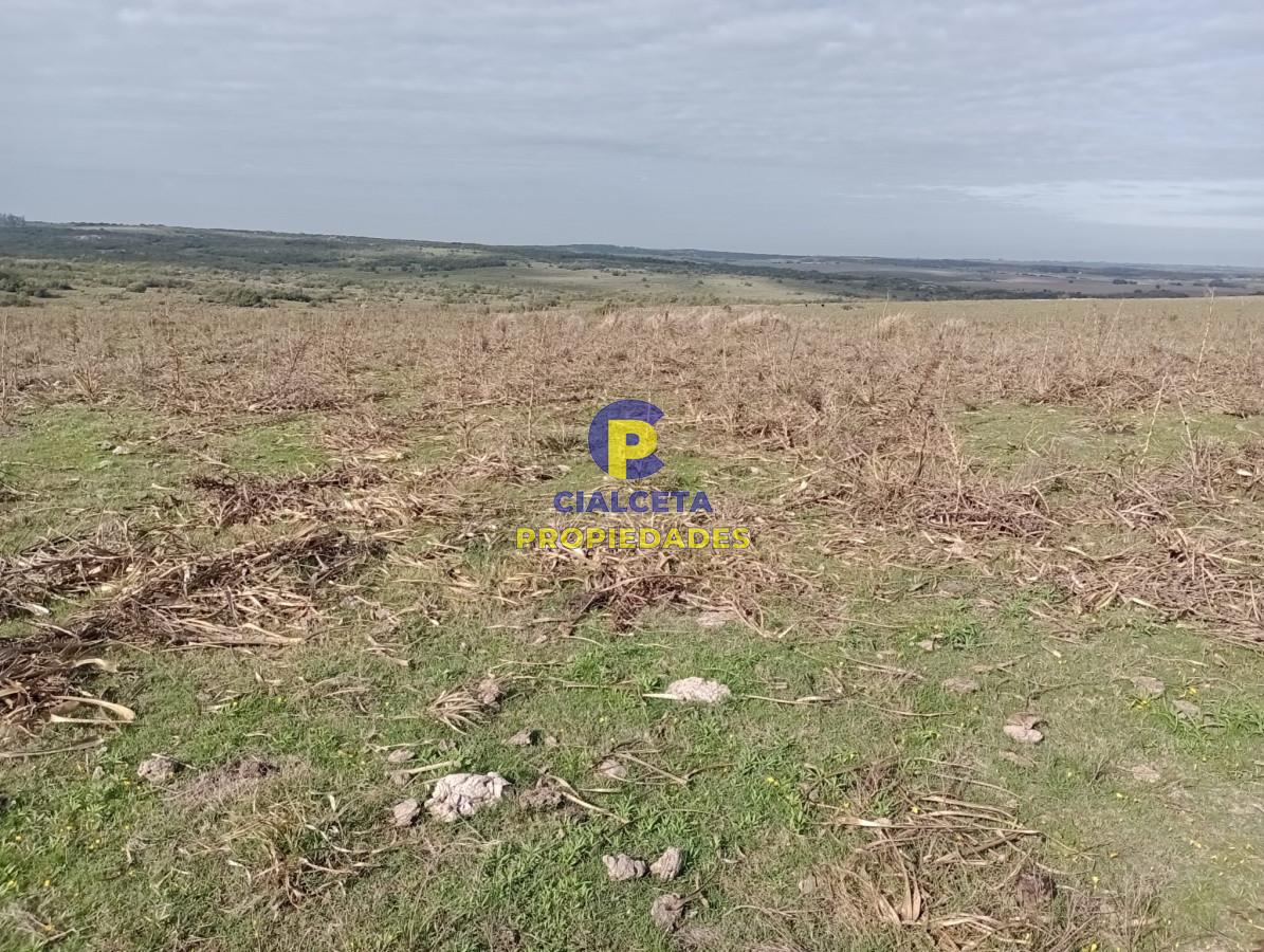 Campo Ref.217 - 664 hectáreas en Colonia