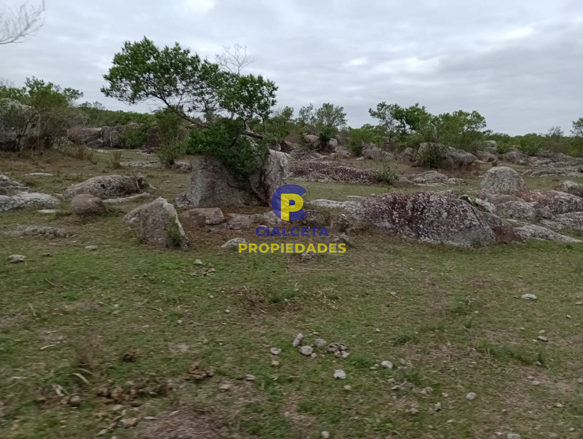 Campo Ref.217 - 664 hectáreas en Colonia