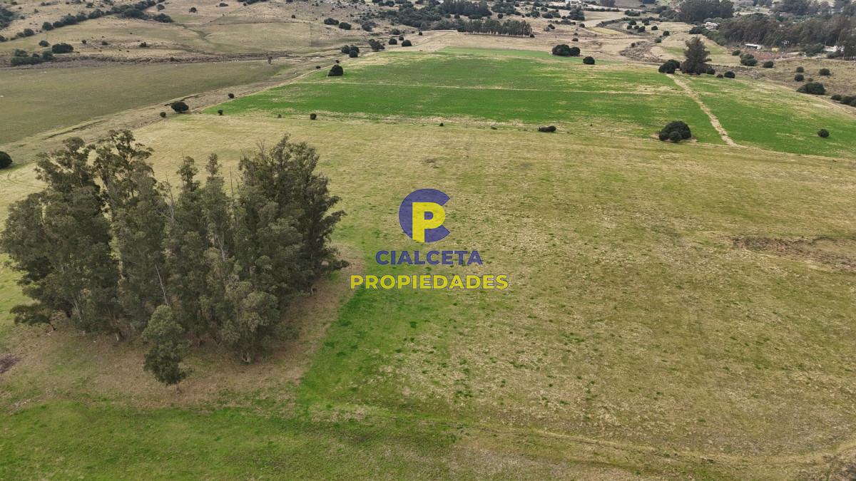 Campo Ref.490 - 267 hectáreas en Maldonado