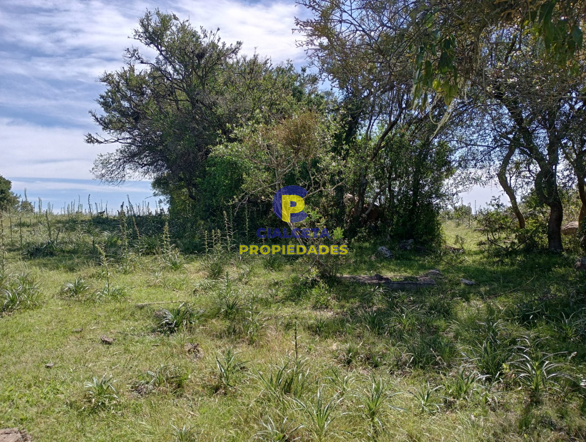 54 hectáreas con 9.722 metros en Maldonado - GoPunta - Portal Inmobiliario de Punta del Este - Maldonado