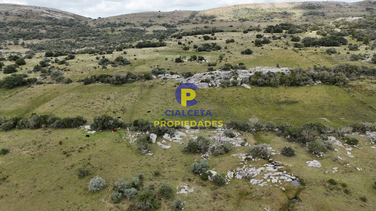 26 hectáreas y media con cañada - GoPunta - Portal Inmobiliario de Punta del Este - Maldonado