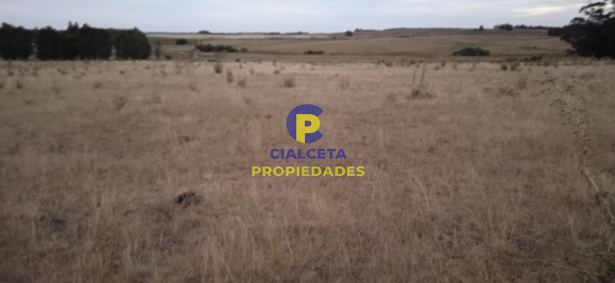 40 hectáreas en Lavalleja - GoPunta - Portal Inmobiliario de Punta del Este - Maldonado