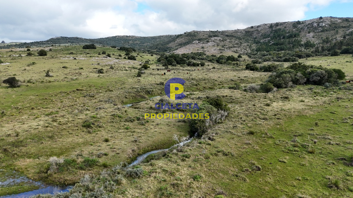 25 hectáreas con 7 mil metros en Lavalleja, con cañada - GoPunta - Portal Inmobiliario de Punta del Este - Maldonado