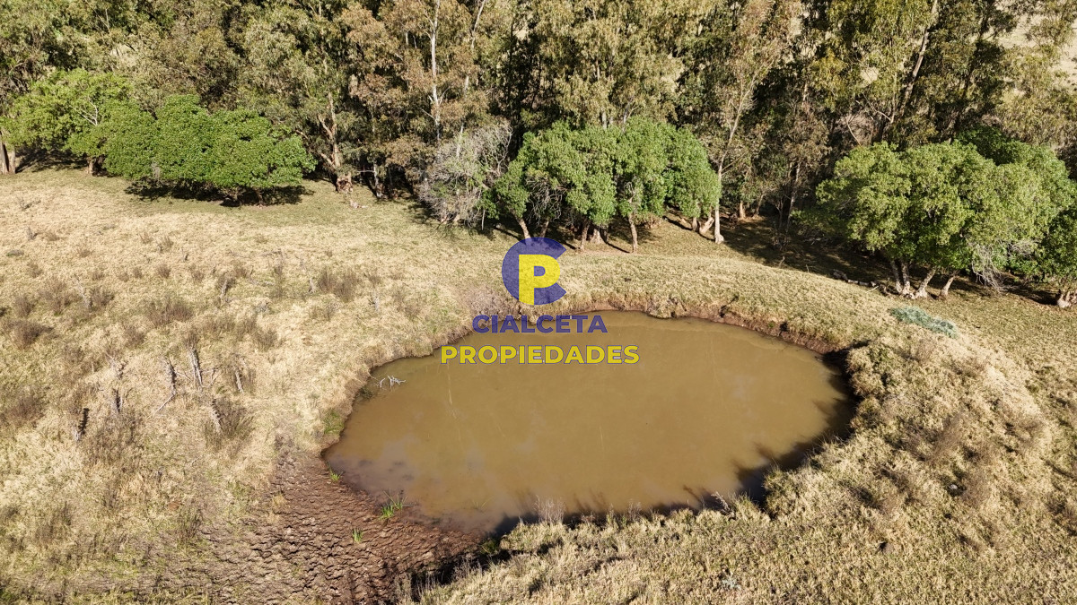 Campo Ref.497 - 40 hectáreas en Lavalleja a 10 km de Minas