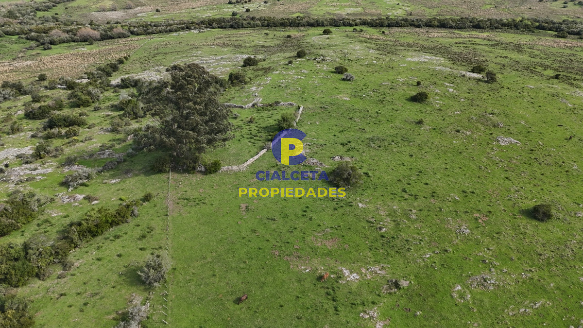 Campo Ref.537 - 149 hectáreas con arroyo en Lavalleja
