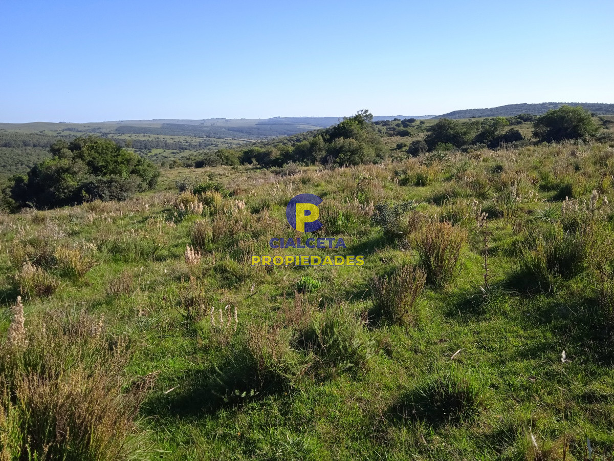 Campo Ref.96 - 155 hectáreas con casa, instalaciones