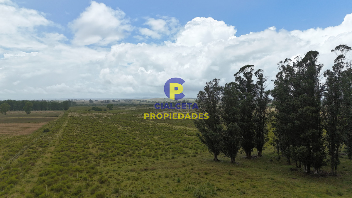 23 hectáreas y media con arroyo en el fondo - GoPunta - Portal Inmobiliario de Punta del Este - Maldonado