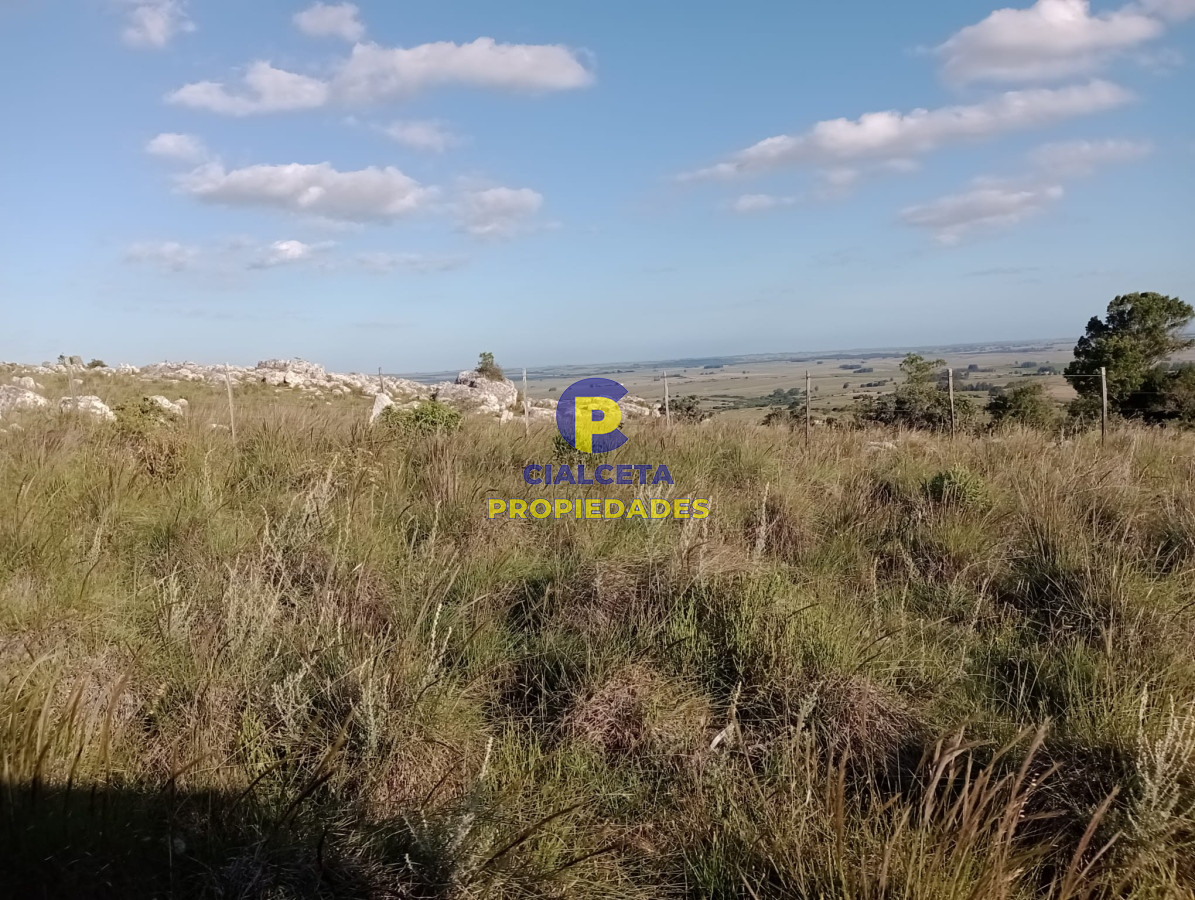 27 hectáreas en Maldonado, excelente vista - GoPunta - Portal Inmobiliario de Punta del Este - Maldonado
