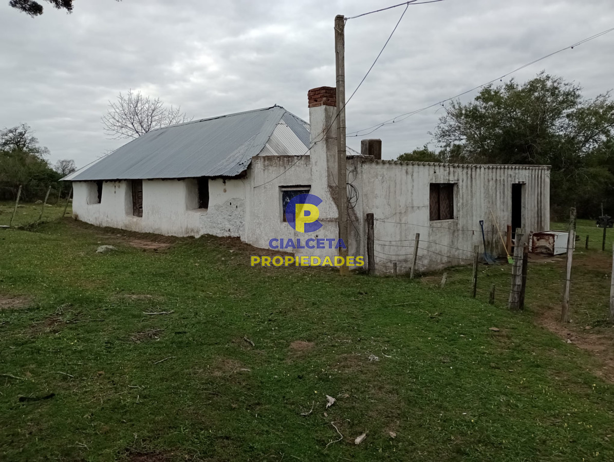 Campo Ref.217 - 664 hectáreas en Colonia