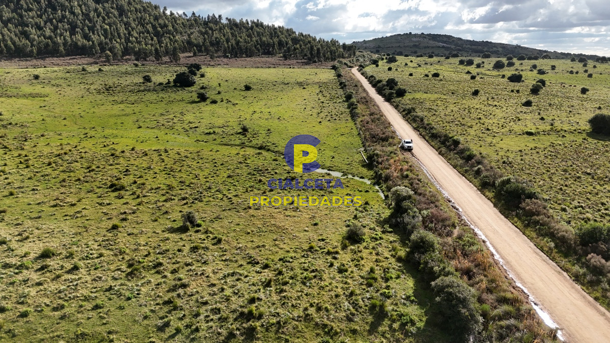 Campo Ref.459 - 25 hectáreas con 7 mil metros en Lavalleja, con cañada