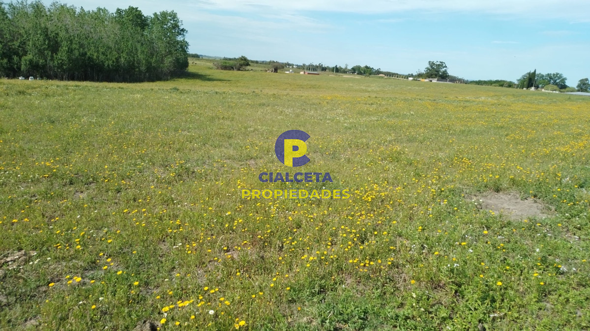 31 hectáreas y metros en Canelones - GoPunta - Portal Inmobiliario de Punta del Este - Maldonado