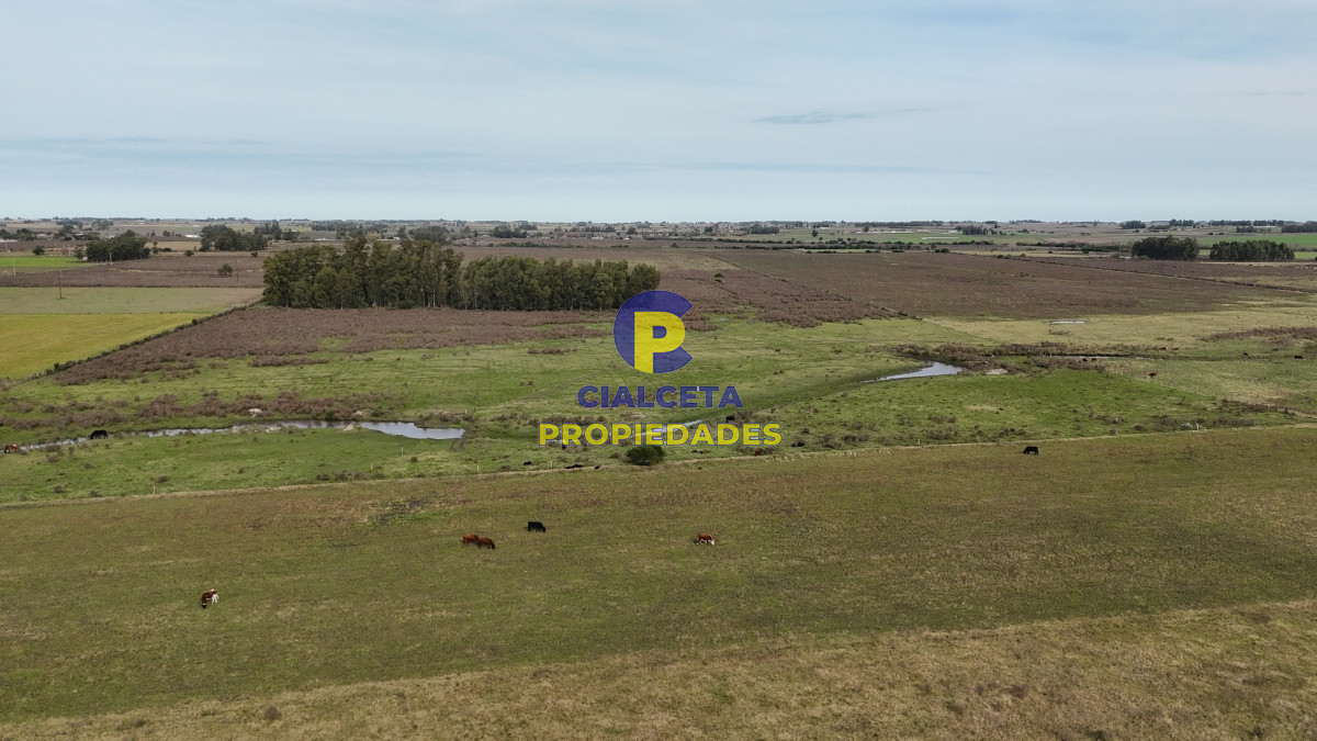 37 hectáreas sobre ruta, con excelente acceso - GoPunta - Portal Inmobiliario de Punta del Este - Maldonado