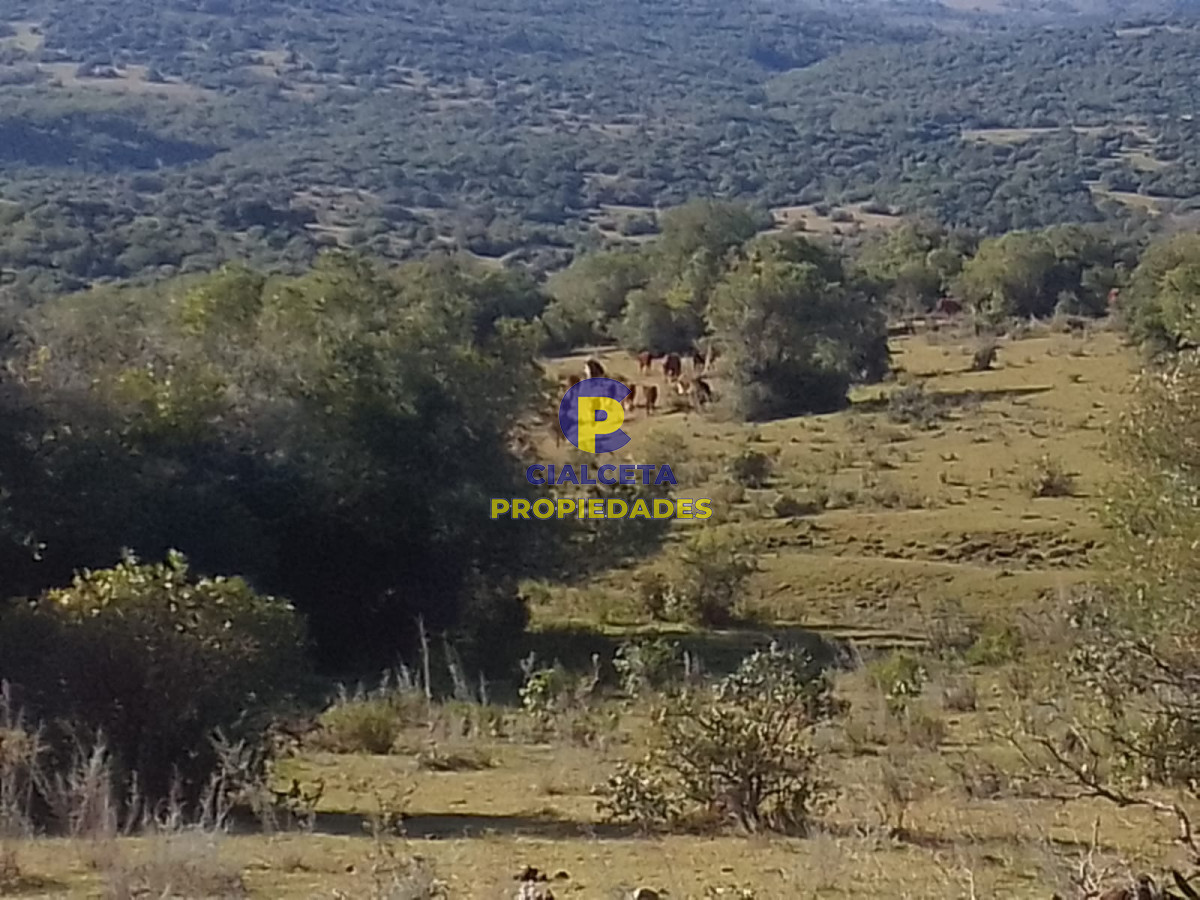 41 hectáreas y media en Maldonado, Aigua - GoPunta - Portal Inmobiliario de Punta del Este - Maldonado