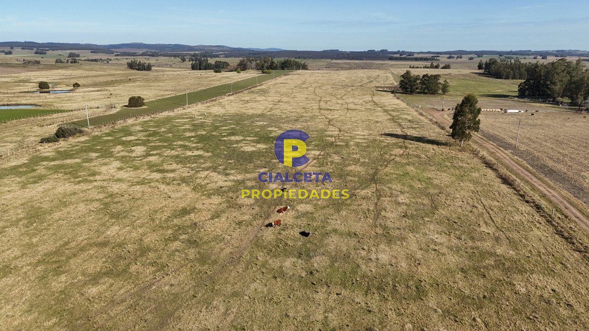Campo Ref.497 - 40 hectáreas en Lavalleja a 10 km de Minas