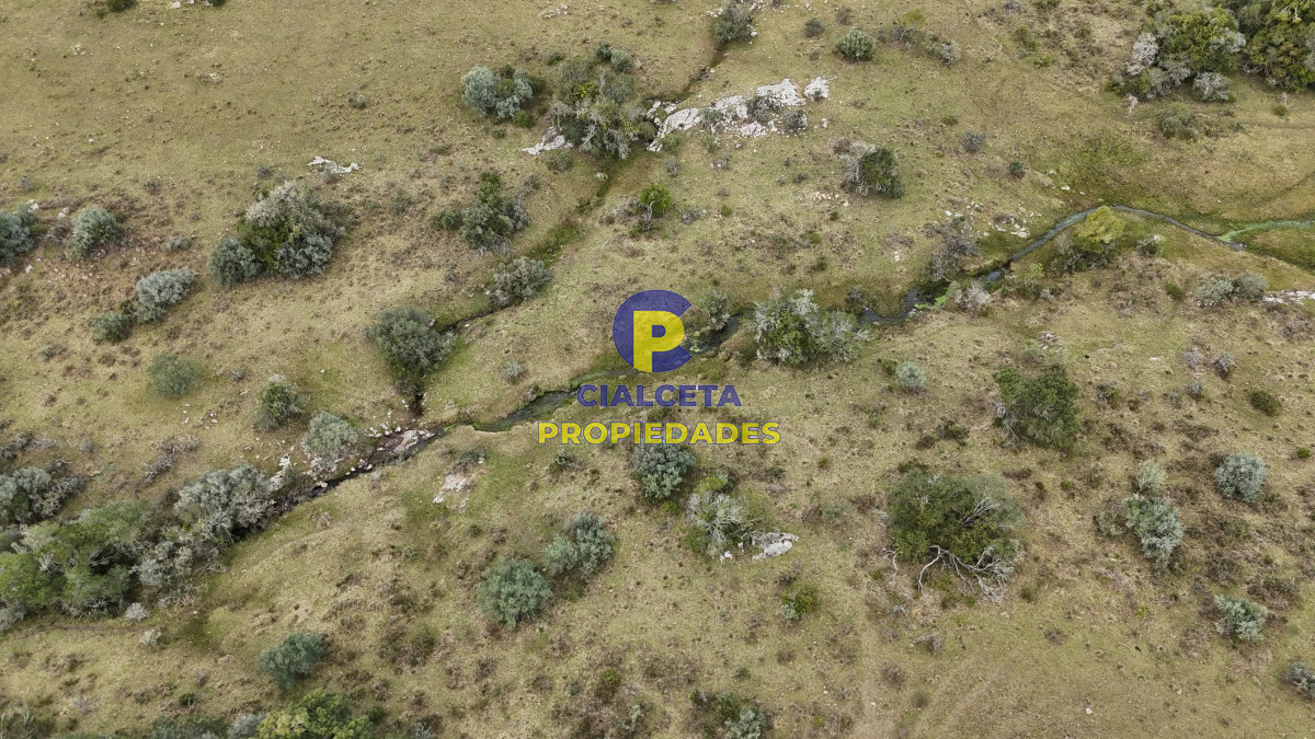 26 hectáreas y media con cañada - GoPunta - Portal Inmobiliario de Punta del Este - Maldonado